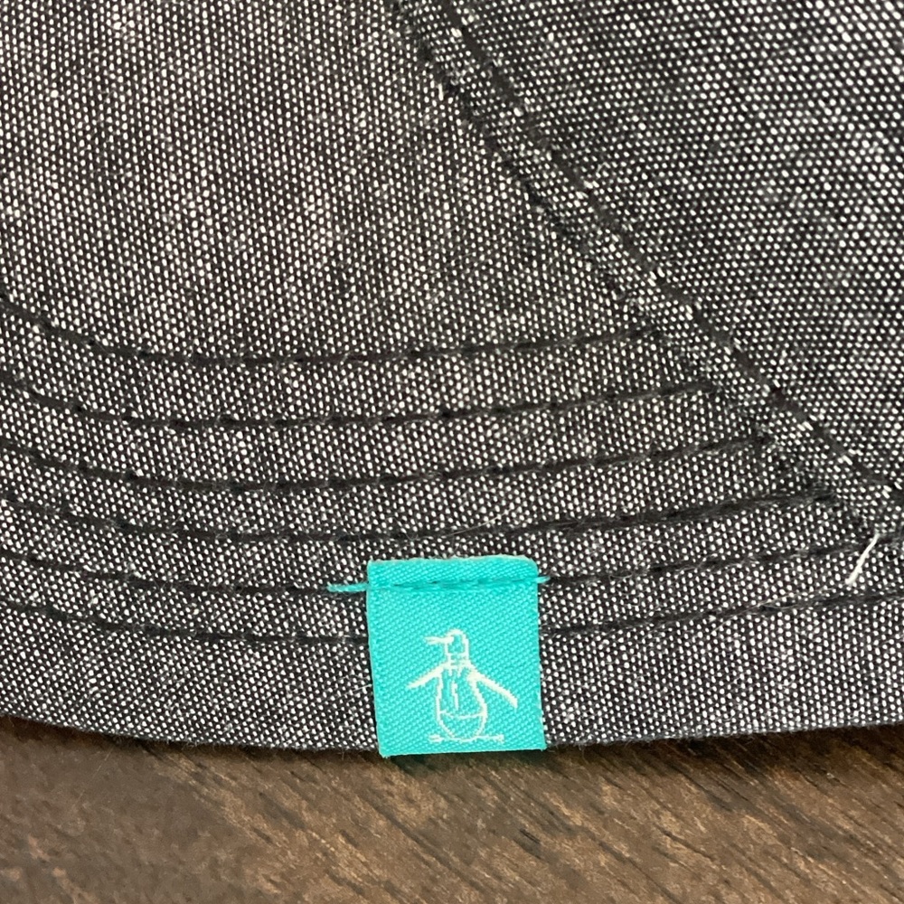 Original Penguin gray and red striped cap interior